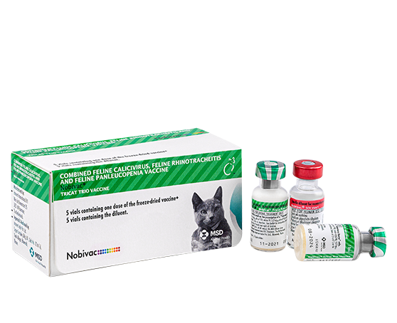 Felv vaccine hot sale for cats