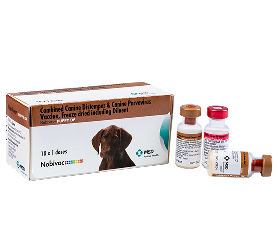 Best parvo hot sale vaccine